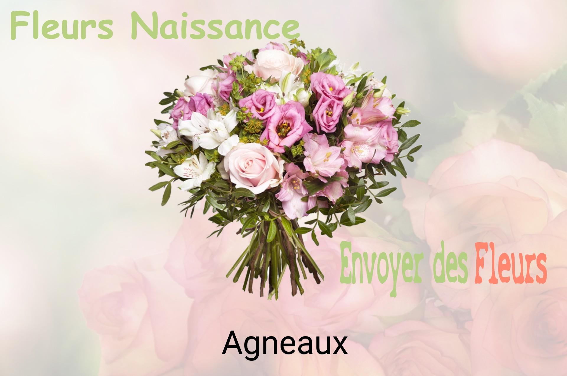 Bouquet de fleurs de naissance livré à Agneaux